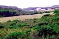 Sant’Antioco-Il poggio di Mezzaluna: la strada bianca è immersa nella macchia mediterranea