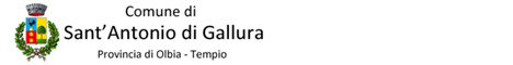 Visita del sito istituzionale del comune