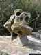 Sant’Antonio di Gallura: la scultura granitica sul belvedere di Lu Naracu