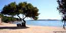 Santa Teresa di Gallura: conca Verde: la piccola spiaggia de la Cunchedda