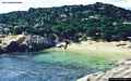 San Teodoro: il punta Molara: la spiaggia di Punta Molara San Teodoro: il punta Molara: la spiaggia di Punta Molara