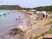 San Teodoro: Capo Coda Cavallo: la spiaggia di capo di Coda Cavallo