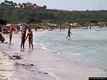 San Teodoro: Cala Brandinchi: la spiaggia di Cala Brandinchi