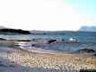 San Teodoro: la Cinta: la spiaggia de la Cinta