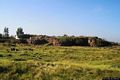 San Vero Milis-Scavi del nuraghe S’Uraki