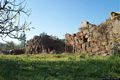 San Vero Milis-Scavi del nuraghe S’Uraki