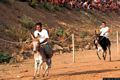 San Vito: il Palio degli Asinelli