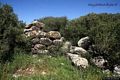 Sardara-resti del nuraghe Santu Domini