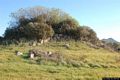 Sardara-frazione Santa Maria de Is Acquas-resti del nuraghe Arigau