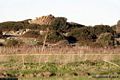 Sardara: il nuraghe Arrubiu