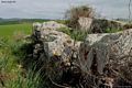 Sardara: il nuraghe complesso Ortu Comidu