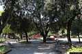 Sassari: i giardini pubblici
