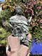 Sassari: largo Cavallotti: busto di Felice Cavallotti