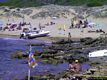 Alghero: il porto Ferro: scogli e spiaggia