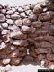 Scano di Montiferro: il nuraghe Nuracale: camminamenti interni