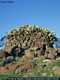 Sedini: il nuraghe Longu o nuraghe di Monti Longu