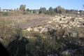 Segariu: il nuraghe di Sant’Antonio o Santu Antoi