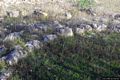 Segariu: il nuraghe di Sant’Antonio o Santu Antoi Segariu: il nuraghe di Sant’Antonio o Santu Antoi