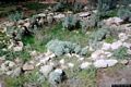 Segariu-resti delle capanne dell’insediamento nuragico di Costa Faccia Bidda ricostruiti nell’area archeologica di Sant’Antonio Segariu-resti delle capanne dell’insediamento nuragico di Costa Faccia Bidda ricostruiti nell’area archeologica di Sant’Antonio