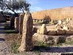 Selargius-Sa Sitza: Archeoparco Didattico di su Coddu Selargius-Sa Sitza: Archeoparco Didattico di su Coddu