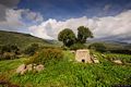 Seneghe-resti della tomba di giganti di Sa Fach’e S’Altare: la stele