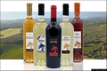 Sennori-Vini della Cantina Fara