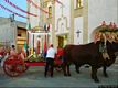 Senorbì: il preparazione della processione per la festa di Sant’Antioco