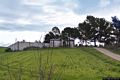 Senorbì: arixi: veduta del Cimitero