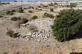 Senorbì-Sisini: il nuraghe di Sisini