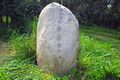 Serramanna: il menhir 'Perda Fitta'