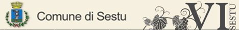 Visita del sito istituzionale del comune