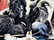 Quartucciu: carnevale di Sestu: i Mustayonis con S’Orku Foresu
