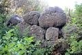 Setzu: il nuraghe Suraxiu