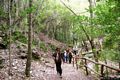 Seui: il passeggiata all’interno della foresta demaniale di Montarbu