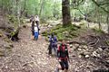 Seui: il passeggiata all’interno della foresta demaniale di Montarbu