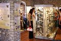 Siddi-Museo Ornitologico della Sardegna: interno del Museo