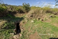 Silanus-Il tempio nuragico a pozzo di Cherchizzu