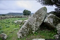 Silanus-Tomba di giganti di Pedras Doladas I: la statua menhhir integra