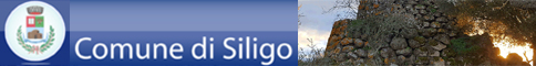 Visita del sito istituzionale del comune