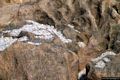Is Arutas: i granelli di quarzo della spiaggia di Is Arutas