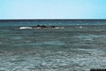 Siniscola-Berchida: lo scoglio di Pedra Marchesa Siniscola-Berchida: lo scoglio di Pedra Marchesa