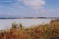 San Vero Milis-Sa Salina Manna: lo stagno di Sa Salina Manna è uno stagno retrodunale di origine marina