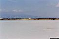 San Vero Milis-Sa Salina Manna: veduta parziale dello stagno de Sa Salina Manna con sullo sfondo i fenicotteri