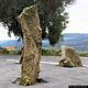 Soddì-resti della foresta fossile pietrificata di Montigu Abile