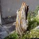 Soddì-resti della foresta fossile pietrificata di Montigu Abile Soddì-resti della foresta fossile pietrificata di Montigu Abile