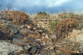 Soleminis-Resti dell’area archeologica di Cuccuru Cresia Arta