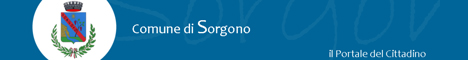 Visita del sito istituzionale del comune