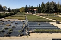 Sorgono-Il vivaio forestale di Santu luisu