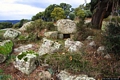 Sorgono-Tomba di giganti di Funtana Morta: la esedra e l’ingresso con i due stipiti e l’architrave