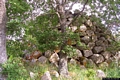 Sorgono-Il nuraghe Calamaera